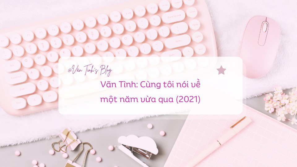 vãn tình 1 năm vừa qua