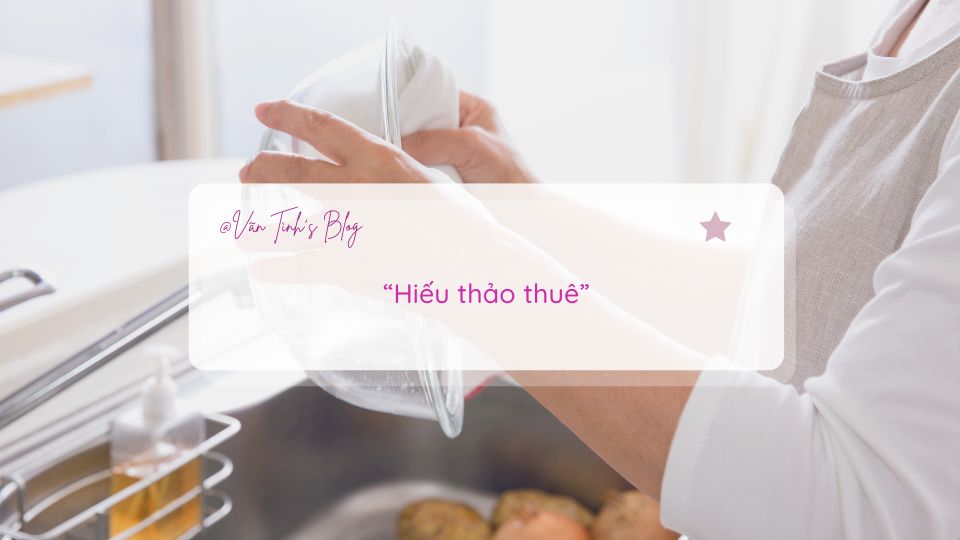 Hiếu thảo thuê - Vãn Tình